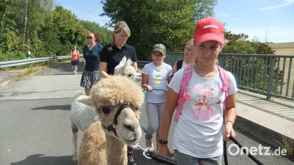 Ministrantin Selina (mit roter Mütze) und ihr Alpaka Emma sind ein Herz und eine Seele. Bild: gm