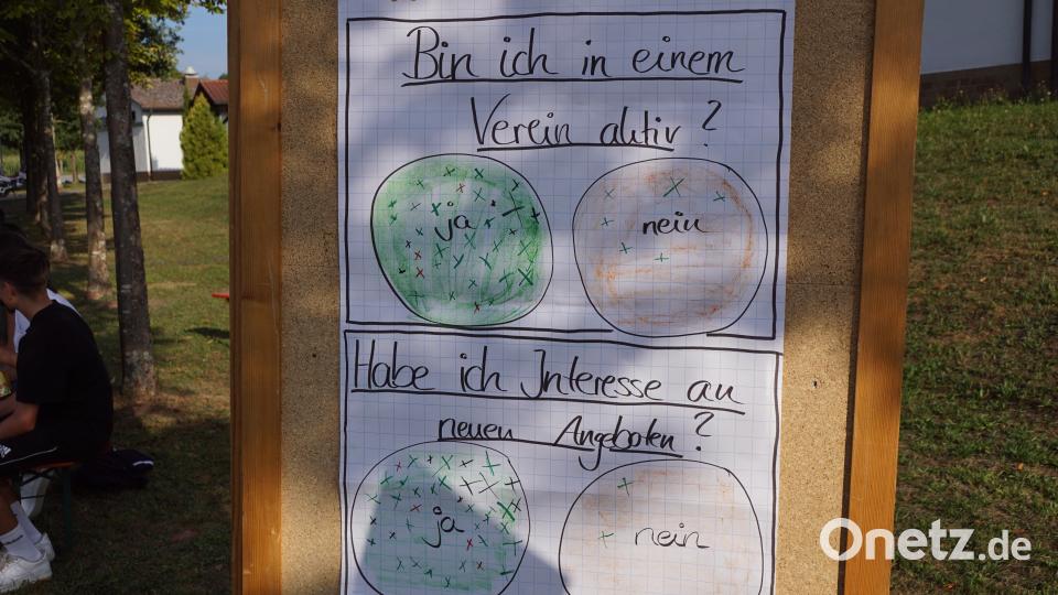 Eine aktive Jugend widerspiegelt dieses Chart mit dem Fragen nach der Mitgliedschaft in Vereinen und der Bereitschaft am Interesse neuer Aufgaben. Bild: bkr