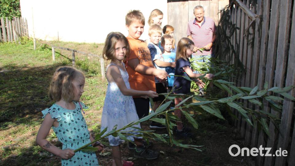 Die Kinder füttern aus sicherer Entfernung die Ziegen hinter dem Zaun. Bild: ads