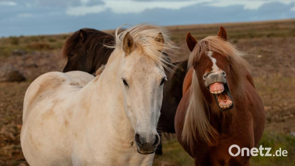 Josef Schell bereiste Island und brachte tolle Aufnahmen mit. Bild: Josef Schell/exb
