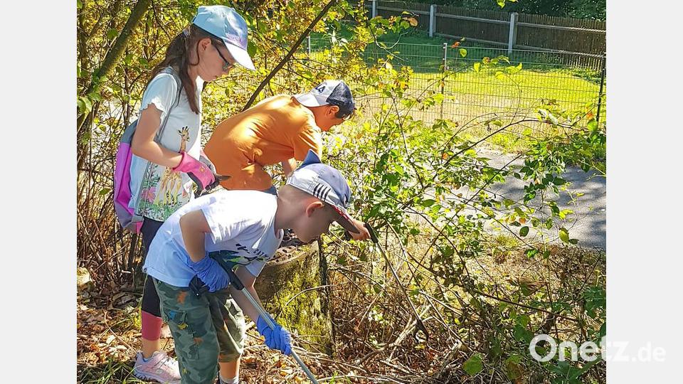 Zwischen Sträuchern und Gräsern war der Abfall zu finden. Bild: nza