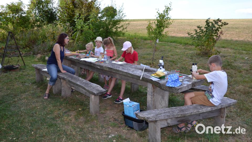 Spielen und lernen konnten die Mädchen und Buben bei einem Erlebnistag im Hexengarten unter der Leitung von Biologin Claudia Schmid. Bild: gi