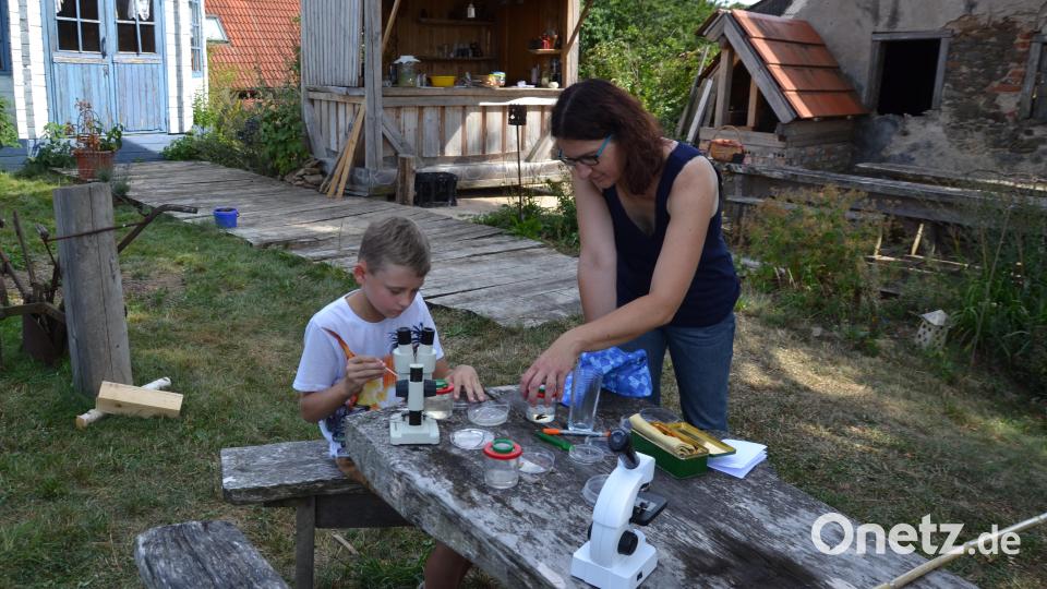 Biologin Claudia Schmid zeigte dem Nachwuchs den Umgang mit Mikroskop und Becherlupe im Naturgarten. Bild: gi