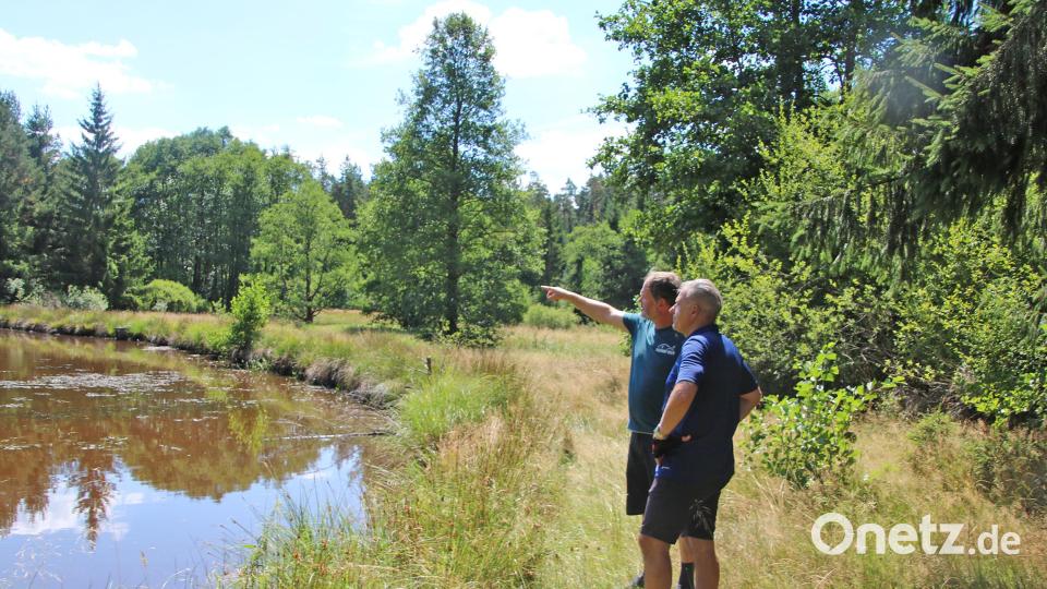 Arge-Fisch-Vorsitzender Thomas Beer (links) zeigte Landrat Roland Grillmeier auf, mit welchen Problemen die Teichwirtschaft zu kämpfen hat. Bild: Landratsamt Tirschenreuth/exb