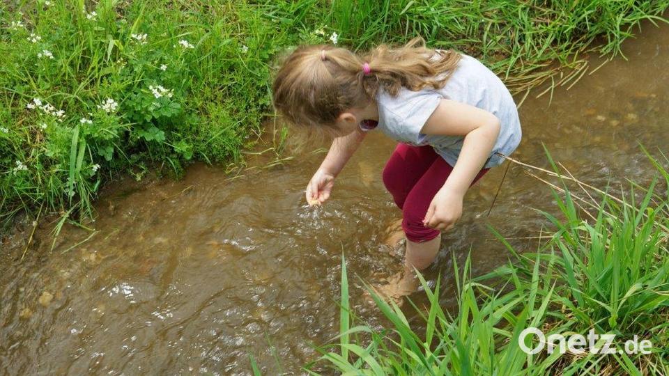 Die mühsame Suche nach dem wertvollen Edelmetall im Goldbach war nur von sehr überschaubarem Erfolg gekrönt. Bild: Gesellschaft Steinwaldia/exb