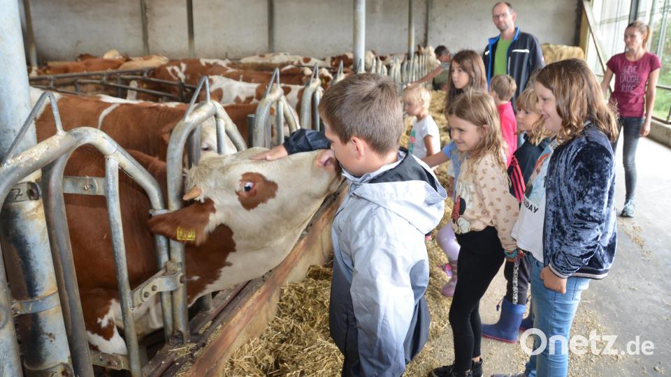 Bauernhof in Obertresenfeld wird für Kinder zum Lern und Erlebnisort