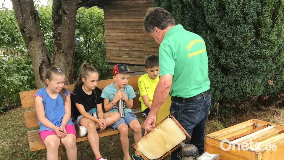 Bruno Köllner (rechts) zeigte das Leben im offenen Bienenstock auf. Bild: njn