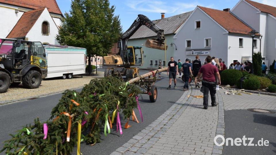 Der Kirwabaum auf dem Weg zu seinem neuen Standort in Edelsfeld. Bild: wfe