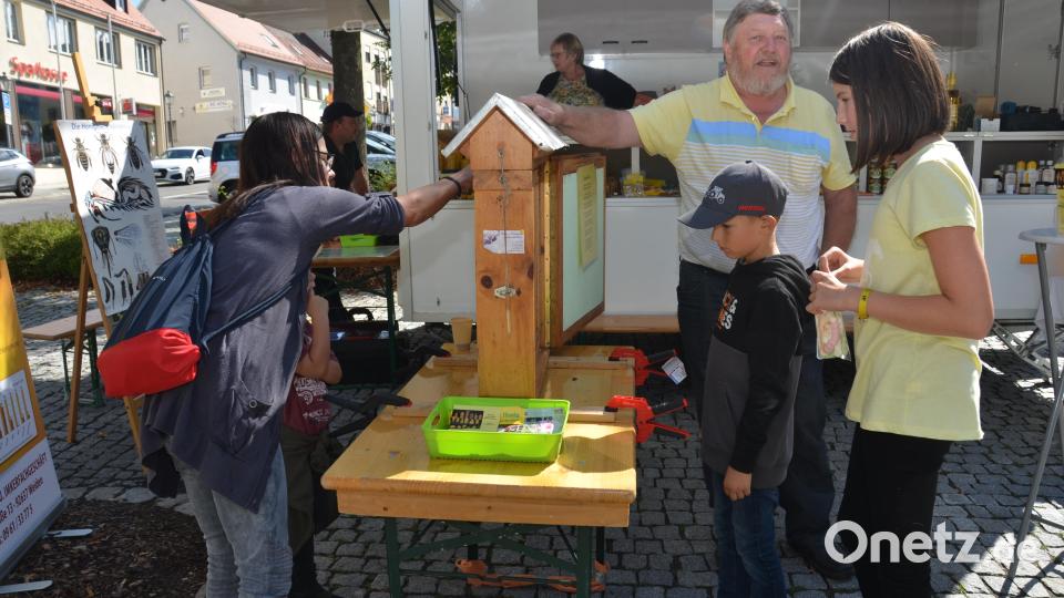 Bei Maier's Honigladen besichtigten die Vorbeikommenden eine Bienenwabe mit der Königin. Bild: dob