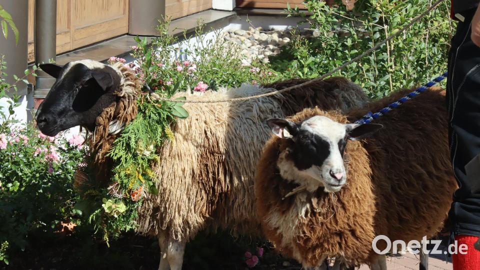 Doppelt hält besser. Die beiden Kirwa-Bätzn sind für viele Kinder die Stars der Rosenberger Kirwa. Bild: mfh
