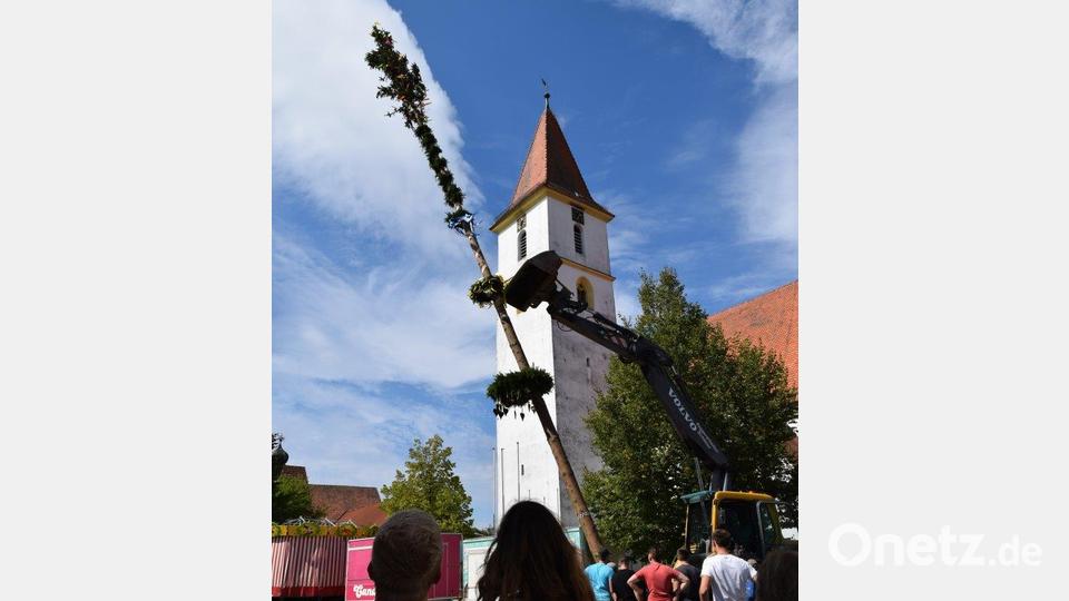 Millimeterarbeit mit dem Bagger ist das Baumaufstellen in Edelsfeld. Bild: wfe
