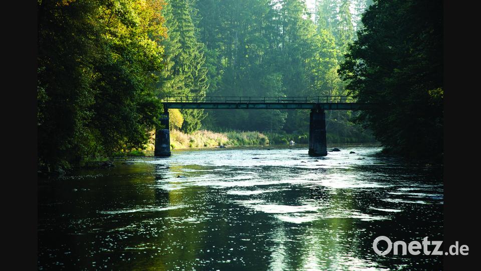 Ohne Gipfel, aber unbedingt einen Ausflug wert: Die Triftsperre, hier die Brücke über die Ilz bei Kleinthannensteig. Bild: Benedikt Seidl/exb