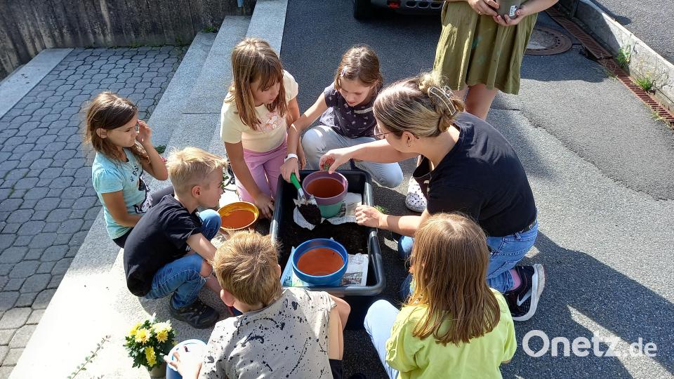 Ferienprogramm Windischeschenbach – Bepflanzen Bild: gra