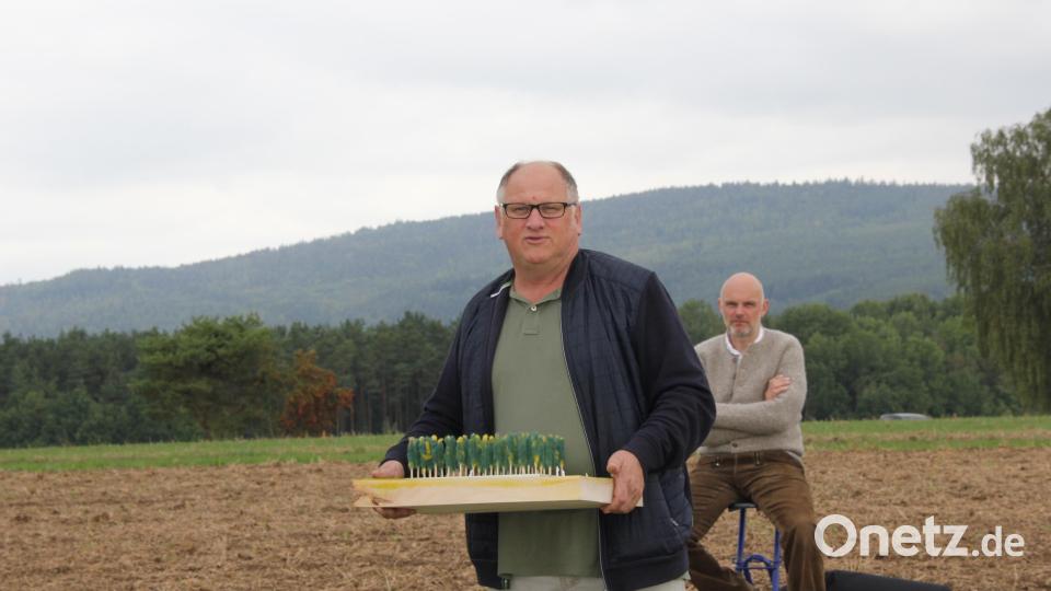 Sollte in Etsdorf zunächst eine Glyptothek aus Betonteilen entstehen, so sieht der aktuelle Entwurf von Initiator Wilhelm Koch eine Säulenhalle in Form eines Hains aus 47 Eichen vor, stellvertretend für die 47 Länder Europas. Bild: ads