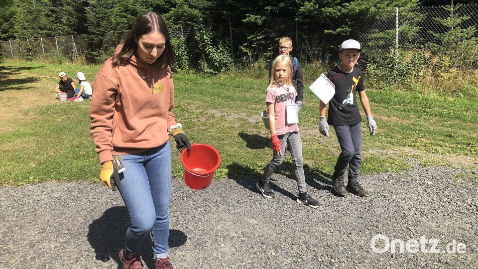 Beim Aufräumen im Steinwald half auch die Verantwortliche bei der Steinwald-Allianz für die Touristik, Nina Lang (links) fleisslich mit. Bild: wro