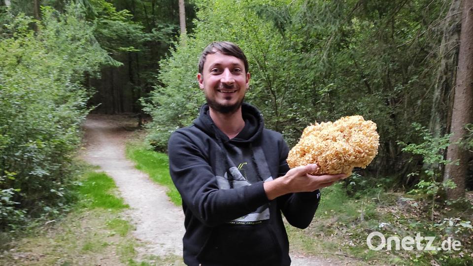 Jens Kamm mit seinem Pilzfund nahe den Wiesauer Waldseen. Bild: Jens Kamm/exb