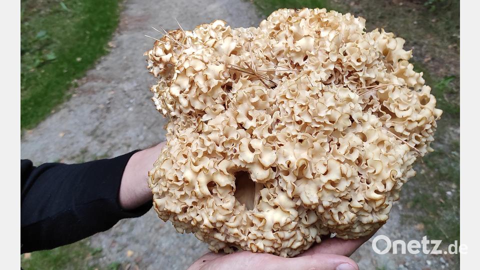 Die Fette Henne von Jens Kamm. Bild: Jens Kamm/exb