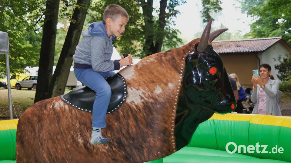 Der achtjährige Hannes hält sich wacker im Sattel. Seine Mutter (rechts) hält den Ritt auf dem Bullen mit dem Handy fest. Bild: Hirsch