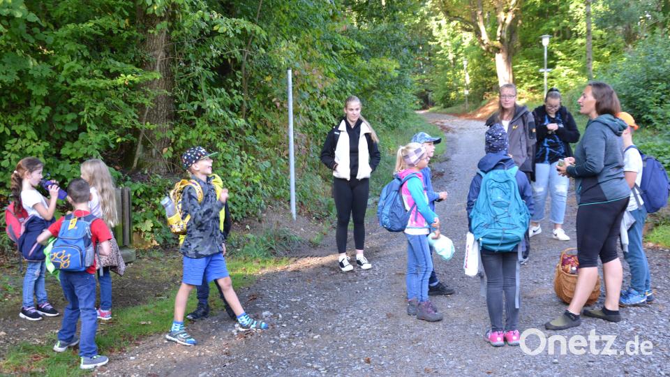 Unter dem Thema „Wald und Natur“ erkundeten die Ferienkinder mit Kursleiterin Stefanie Zimmet den Wald. Bild: gi