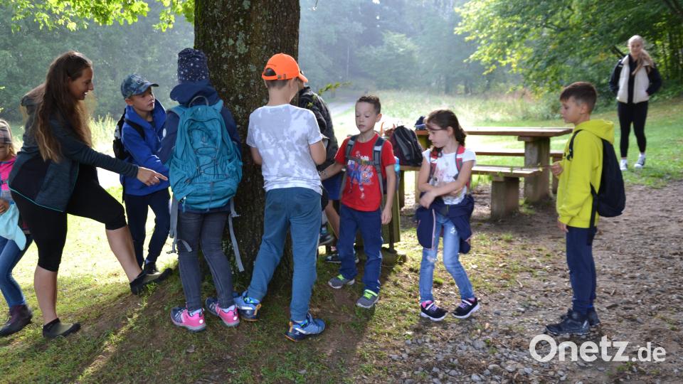 Unter dem Thema „Wald und Natur“ erkundeten die Ferienkinder mit Kursleiterin Stefanie Zimmet den Wald. Bild: gi