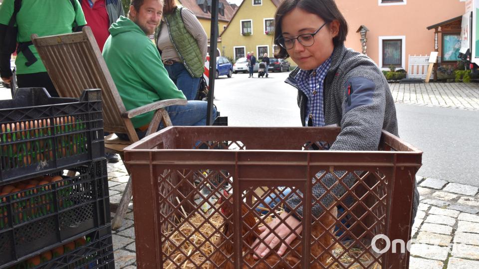 Auch ein lebendiges Bio-Hühnchen von Simon Rauch aus Krummennaab durfte am Markt teilnehmen. Bild: ubb