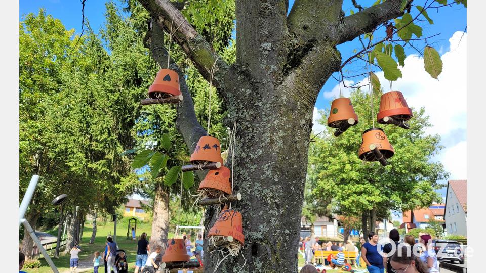 Selbst gebastelte "Ohrhölllerer-Behausung". Bild: Gaby Buchbinder/exb