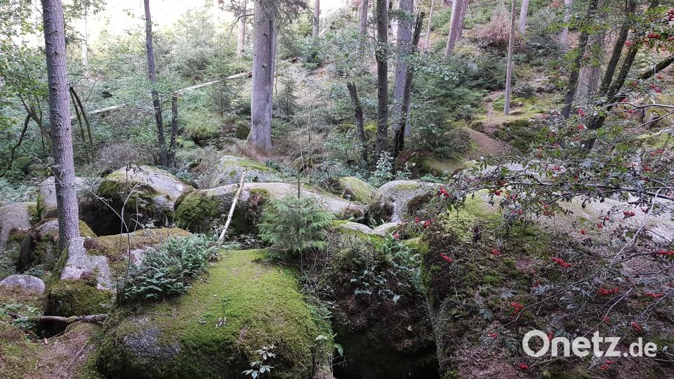 Wie verwunschen präsentiert sich das Naturschutzgebiet Doost. Bild: dob