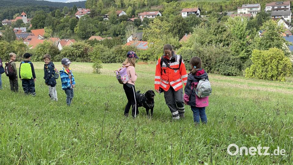 Auf einem Spaziergang erfahren die Kinder viel über die Arbeit der Rettungshundestaffel des Roten Kreuzes. Bild: FW Königstein/exb