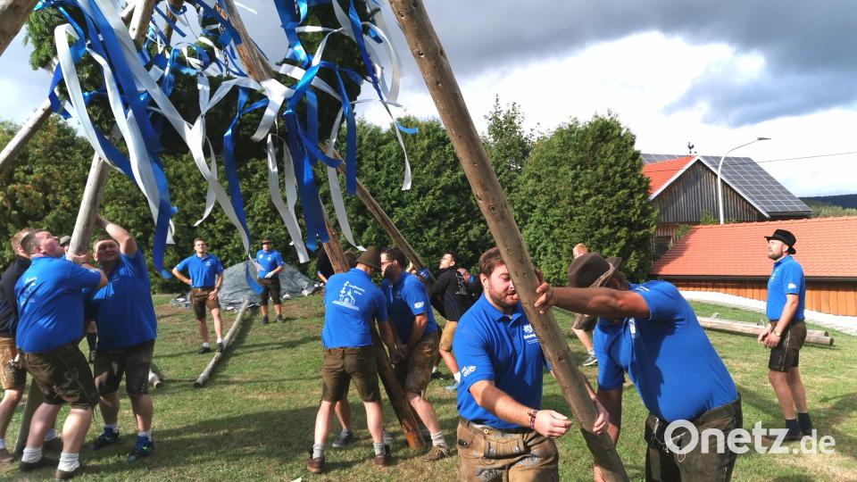 Beim Aufstellen des geschmückten Baumes war die Muskelkraft der „Gonfeiaschta Kirwaleid“ gefordert. Bild: Portner