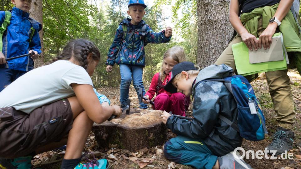 Die Kinder treten zur Hirschwald-Olympiade an. Bild: M. Raum, Naturpark Hirschwald