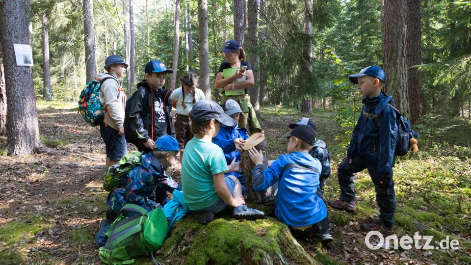 Die Kinder treten zur Hirschwald-Olympiade an. Bild: M. Raum, Naturpark Hirschwald