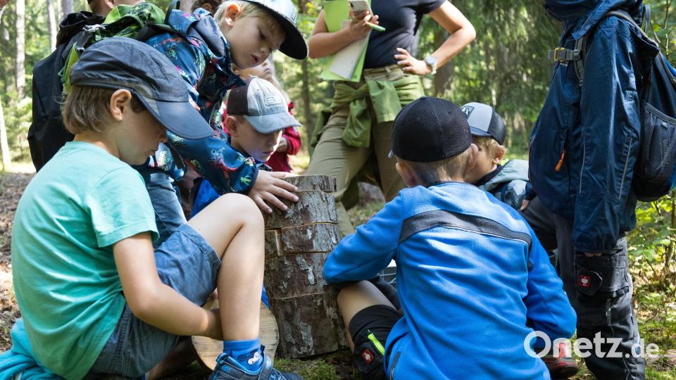 Die Kinder treten zur Hirschwald-Olympiade an. Bild: M. Raum, Naturpark Hirschwald