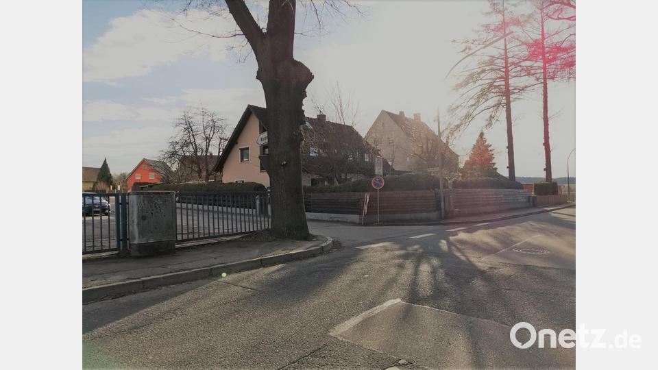 Einer Erweiterung der Zufahrt steht ein mächtiger Baum im Weg. Bild: gz