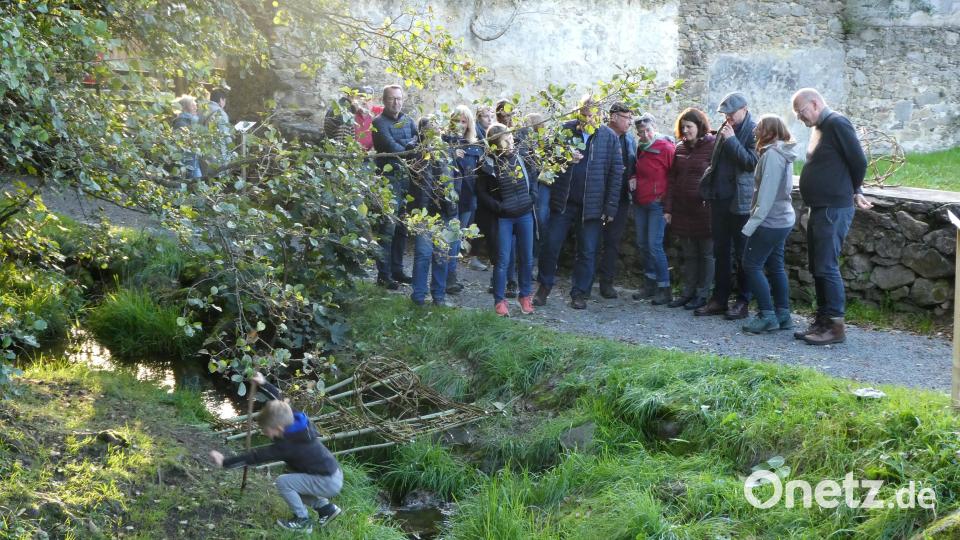 Beim Rundgang von einer Station zur andern, hier beim Weidengeflecht unterhalb des Bayerstegs Bild: eib