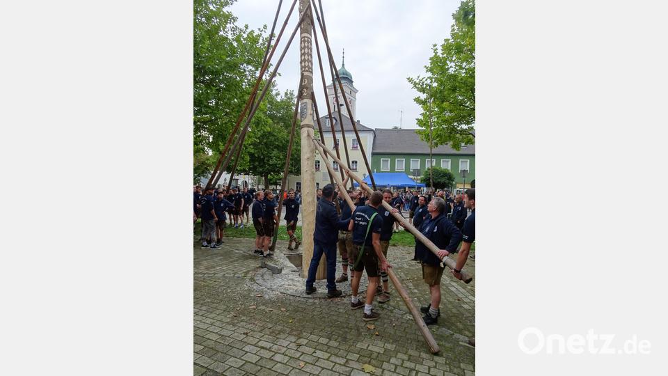 Mit vereinten Kräften wurde der Baum hoch gehievt Bild: hm