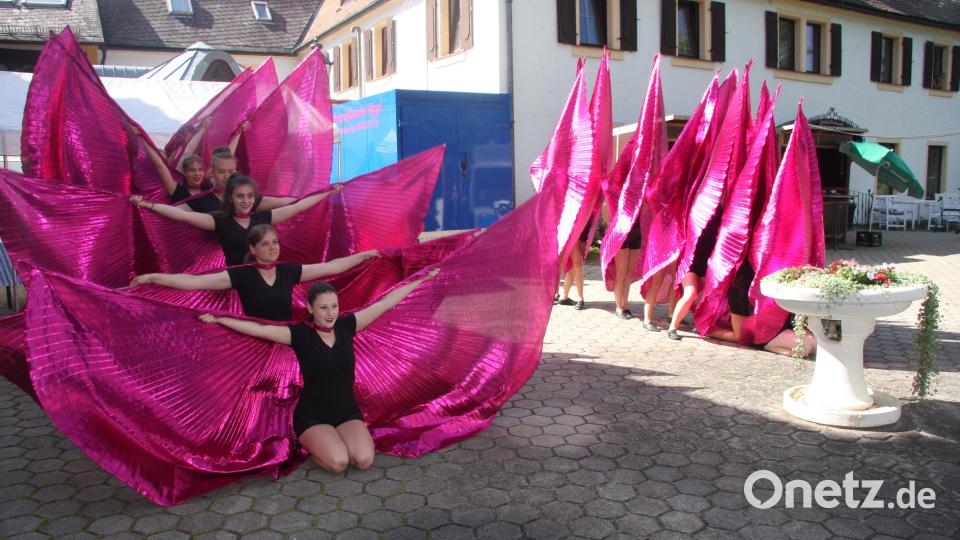 Der TB Jahn Wiesau hat viele Sparten und Aushängeschilder. Für bunte Auftritte sorgt die Tanzgruppe &quot;Temptation&quot; (Sparte Turnen) unter der Leitung von Astrid Maurer. Archivbild: wro