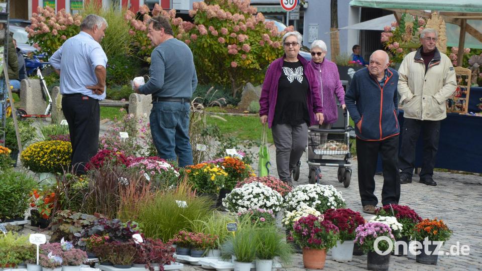 16 Fieranten boten am Michaelimarkt ihre Waren an. Bild: jr