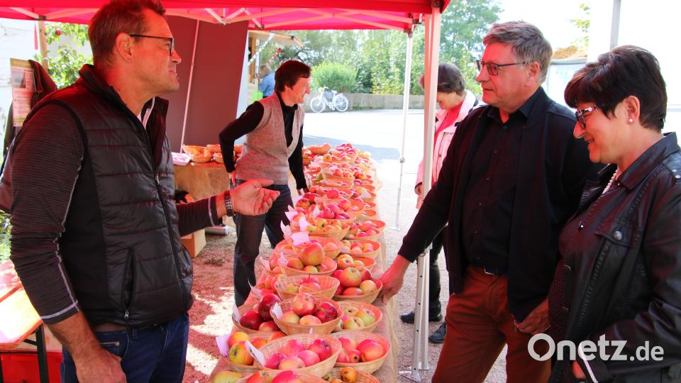 Die beiden Kreisfachberater Harald Schlöger und Manuela Pappenberger (von links) präsentierten 70 verschiedene Apfelsorten, beantworteten Fragen dazu und gaben Tipps. Bild: kro