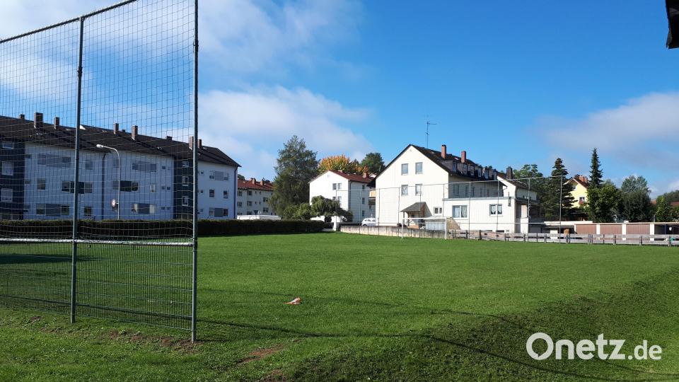 Der Stadtrat hat in seiner jüngsten Sitzung die Ausweisung weiterer Baugebiete im Innenstadtbereich eingeleitet. Auf dem Bolzplatz an der Lämmerstraße sollen neue Parzellen ausgewiesen werden. Bild: pz