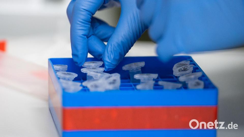 Im Landkreis Neustadt/WN gab es deutlich mehr Fälle als noch vor einer Woche. Symbolbild: Christophe Gateau/dpa