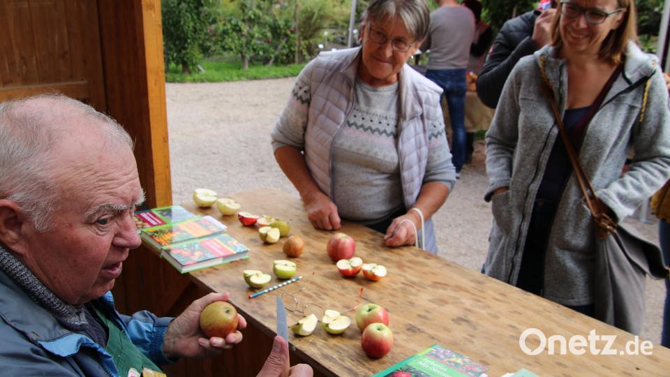 Pomologe Michael Altmann inspizierte die von Besuchern mitgebrachten Äpfel und bestimmte die Sorte. Bild: kro