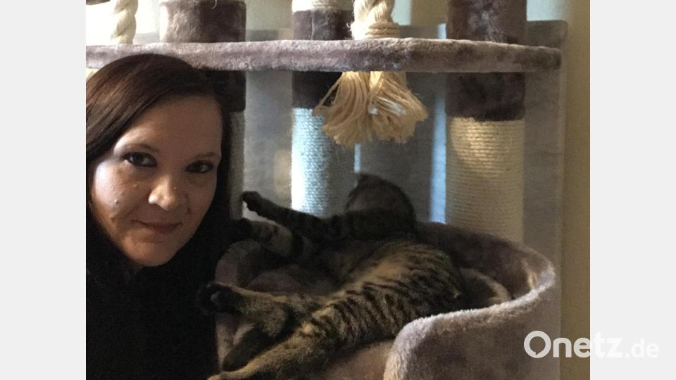 Nadine Hummel kümmert sich mit der Katzenhilfe Kaltenbrunn ehrenamtlich um viele ausgesetzte Katzen oder Tiere aus schlechter Haltung. Sie finanziert das privat und ist mit der Katzenhilfe Kaltenbrunn auf Geldspenden oder auch Futterspenden angewiesen. Bild: sei