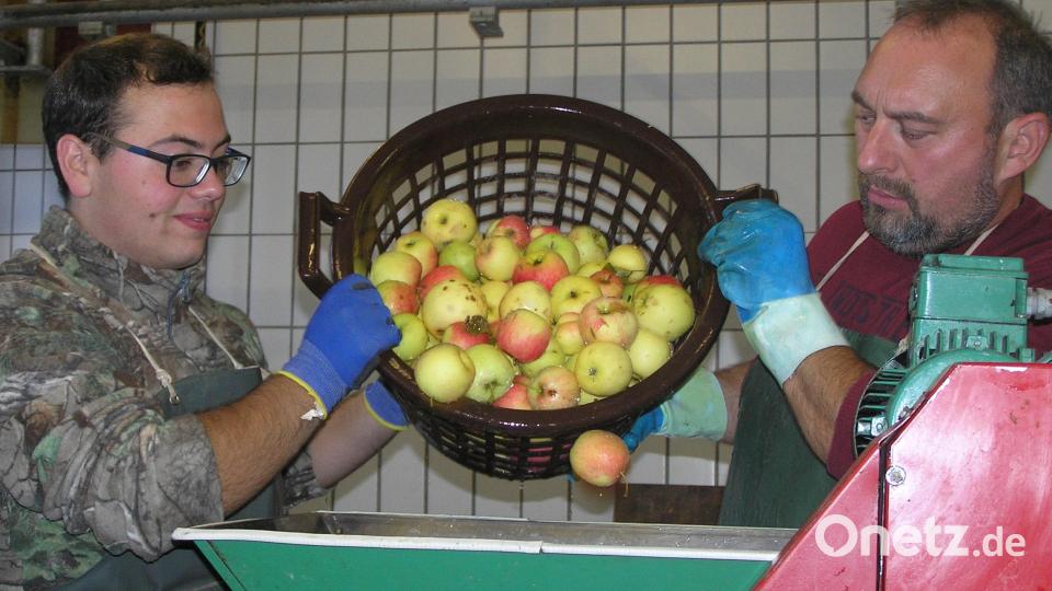 Mit vereinten Kräften werden die Äpfel in Körben in den Schredder geleert. Bild: öt