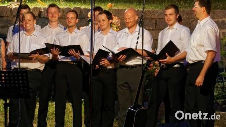 Die "Jungen Wilden" des Männergesangvereins Pleystein bei der Serenade im Jahr 2015. Bild: MGV Pleystein/exb