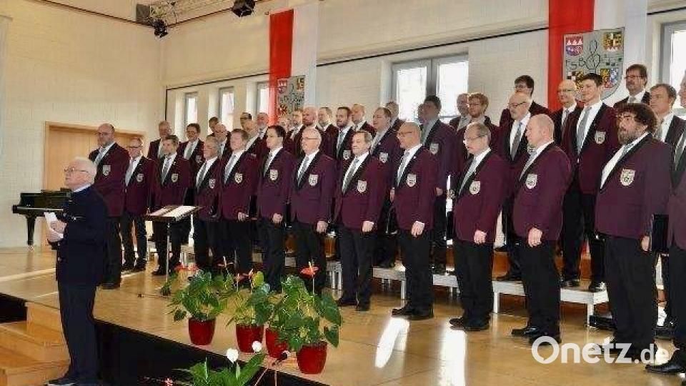 Die erfolgreiche Teilnahme am Leistungssingen des Fränkischen Sängerbundes 2016 in Sulzbach-Rosenberg bleibt in sehr guter Erinnerung und ein Highlight der Vereinsgeschichte. Bild: MGV Pleystein/exb
