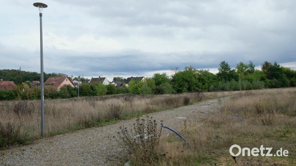 Das gemeindliche Grundstück, in Richtung Grafenricht vor der Sportparkanlage gelegen, sollte eigentlich den Vereinen für Lagergebäude dienen. Die Erschließung mit Kanal, Strom und Wasser wurde noch in der Periode des vorherigen Marktrates beauftragt und abgeschlossen. Das Interesse seitens der Vereine hält sich zwischenzeitlich in Grenzen. Bild: mab