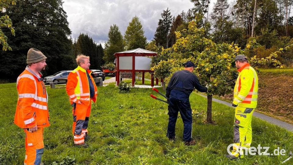 Theo Schiener zeigten den Bauhofmitarbeitern beim Insektenhotel am Fahrradweg Richtung Brand die Grundbegriffe des richtigen Baumschnitts und die Besonderheiten der Ebnather Obstbäume. Bild: soj