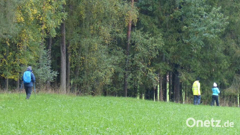 Am Sonntagmorgen setzt wieder Regen ein. Die Teilnehmer wandern über aufgeweichte Wald- und Feldwege. Bild: mfh