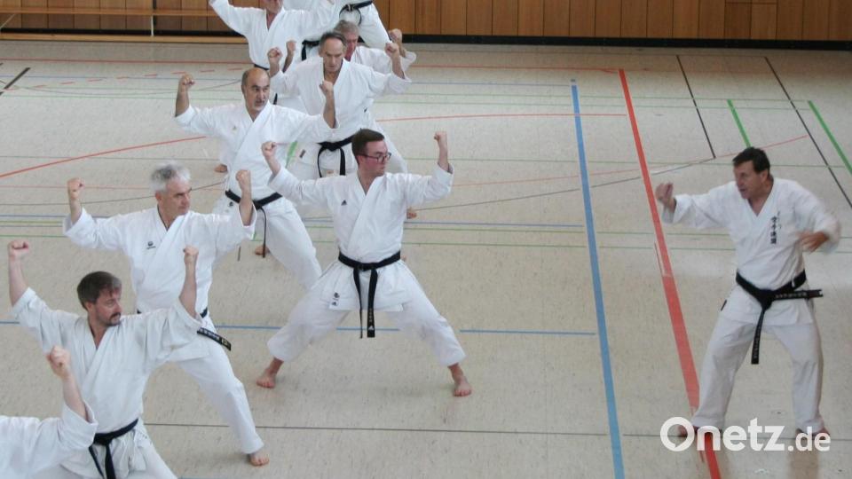 Josef Pflaum (Vierter von links) und Josef Reichenberger (Fünfter von links) sind eine große Nummer in der Karate-Abteilung des Turnvereins Vohenstrauß. Jetzt haben sie wieder eine höhere Dan-Graduierung erreicht. Bild: dob