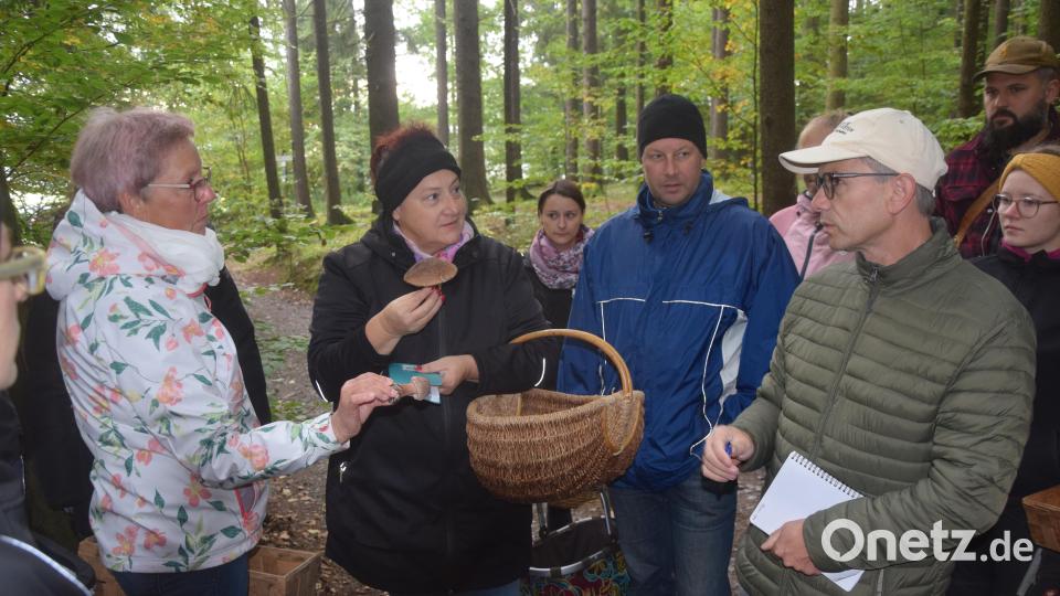 "Sag uns mal, was wir da gefunden haben", fordern die beiden Frauen aus Amberg und Tirschenreuth Pilzexperten Stefan Hartwig (rechts) auf. Bild: fz